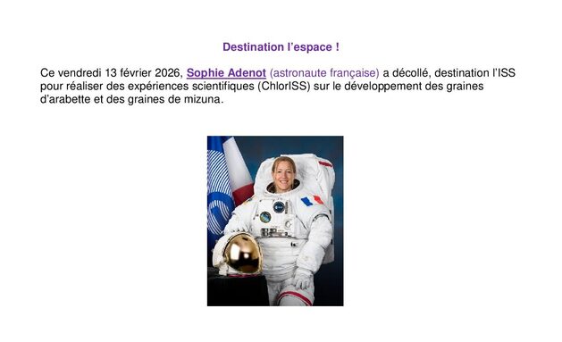 ENT Expériences ChlorISS.jpg